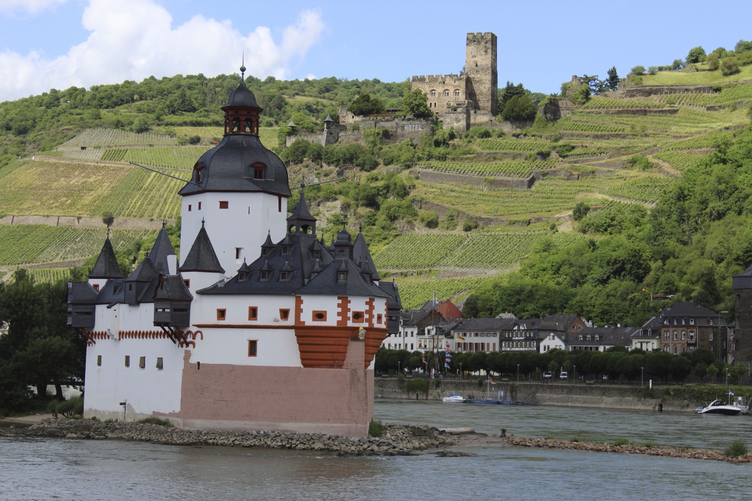 Rhine River castle and vineyard landscape