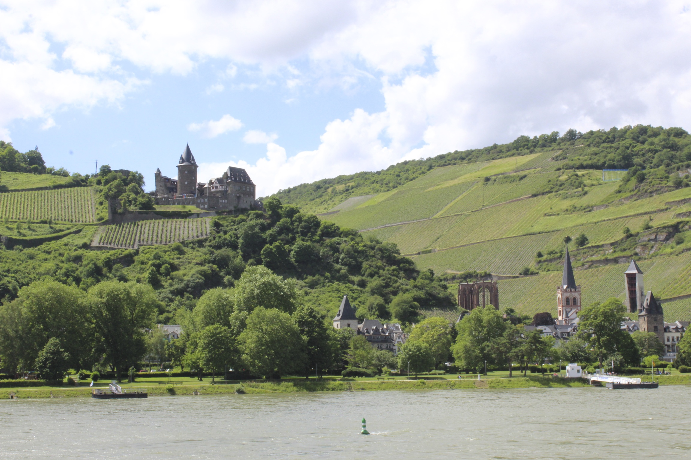 Rhine River valley with vineyards, castle and riverside town